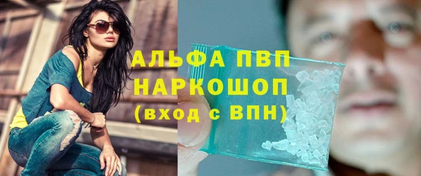 эйфоретик Беломорск