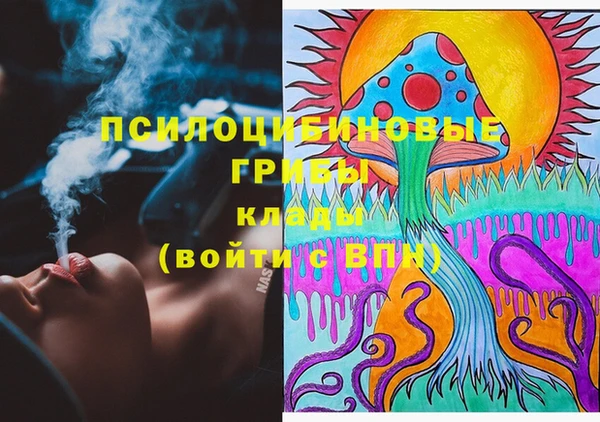 марки nbome Белокуриха