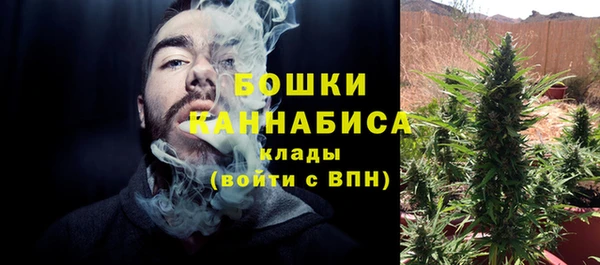 эйфоретик Беломорск