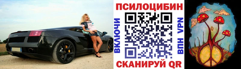 купить наркотик  блэк спрут tor  Галлюциногенные грибы Magic Shrooms  Октябрьский 